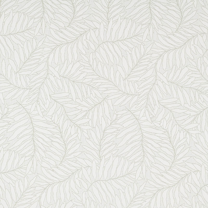 Lively Sage 146404-0001