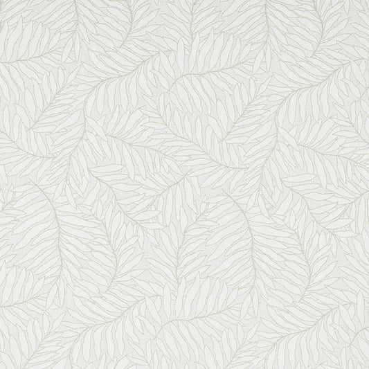 Lively Sage 146404-0001