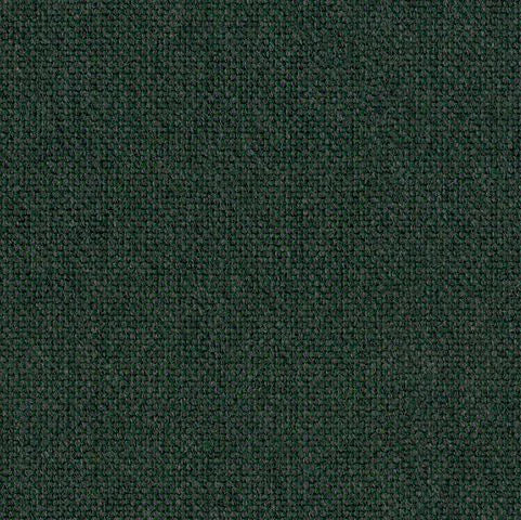 Solid dark green color swatch