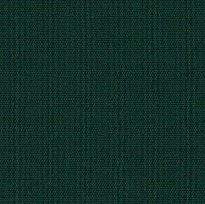 Solid dark green color swatch