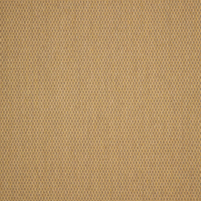 Pique Wren 40421-0052