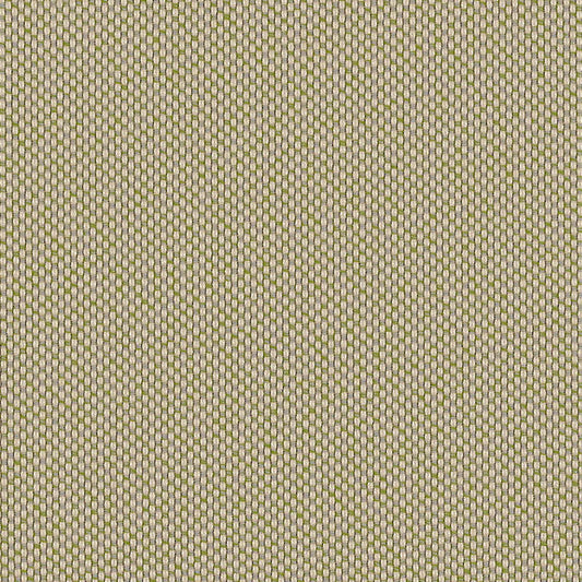 Robben Lichen ROB R002 140