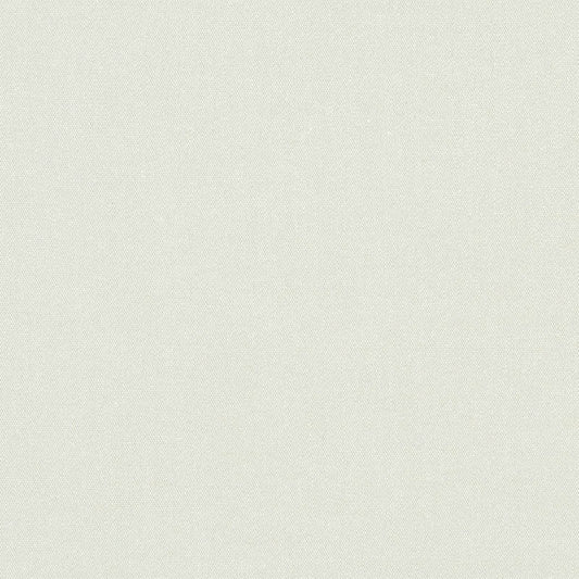 Silver 6051-0000 60-Inch Awning / Marine Fabric