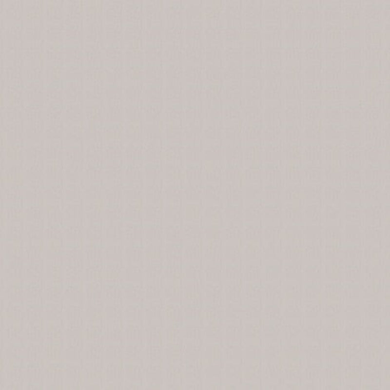 Solid light gray color swatch