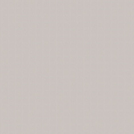 Solid light gray color swatch