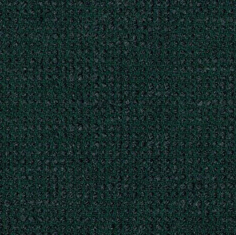 Solid dark green color swatch