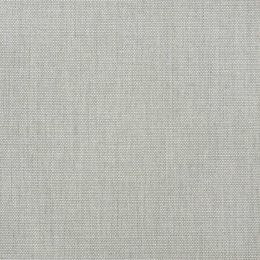 Solid light gray color swatch