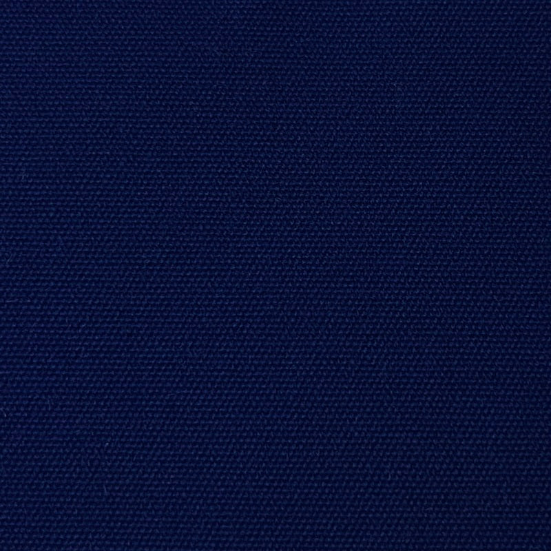 Swimming 55 Azul Royal