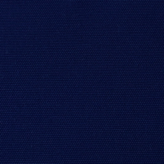 Swimming 55 Azul Royal