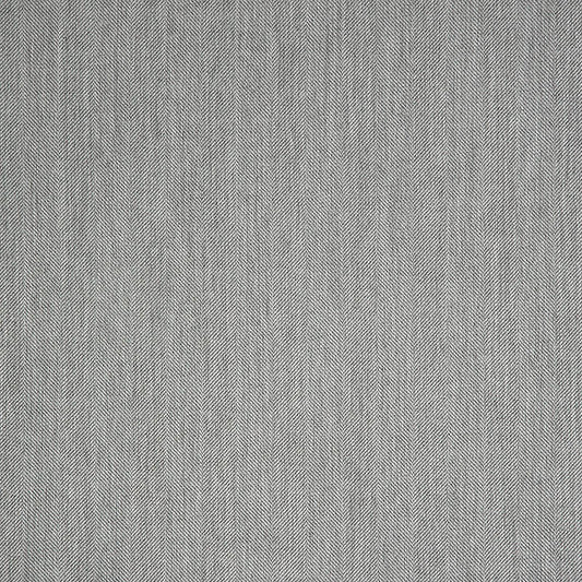 Switch Silver 40555-0005