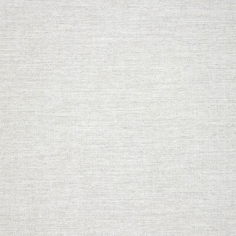 Switch Snow 40555-0021