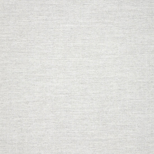 Switch Snow 40555-0021