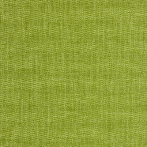 Marlow Granny Apple Tulip-Mar900