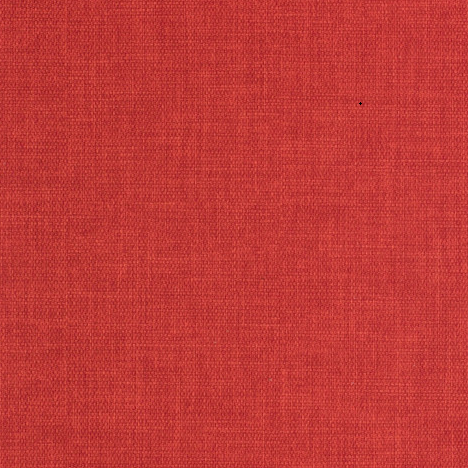 Marlow Rasberry Tulip-Mar1500