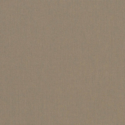 Taupe C4648