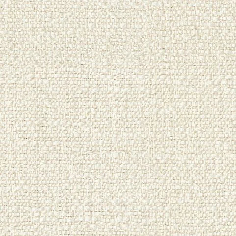Tundra Swan