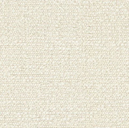 Tundra Swan