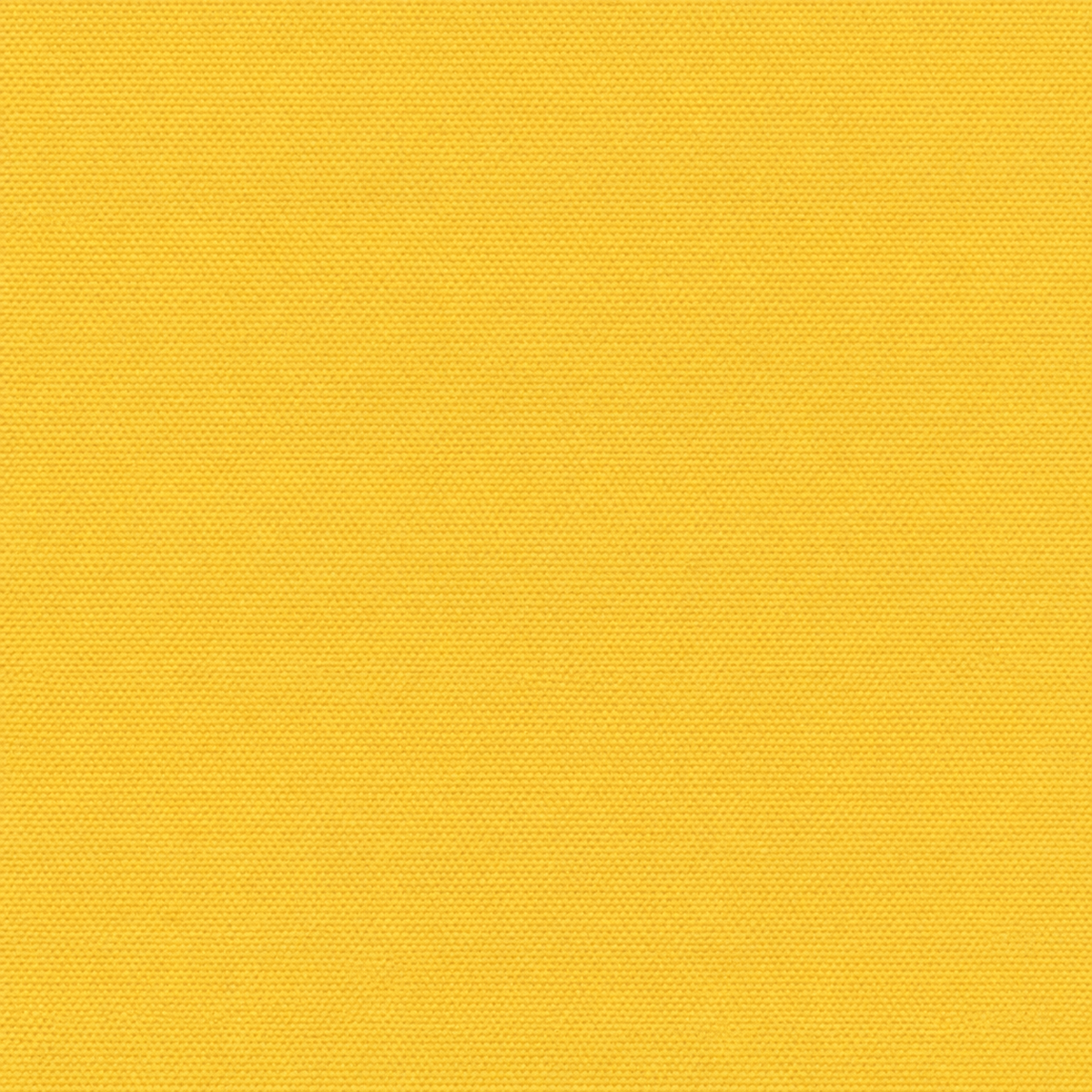 Offshore Sunflower UV 3457