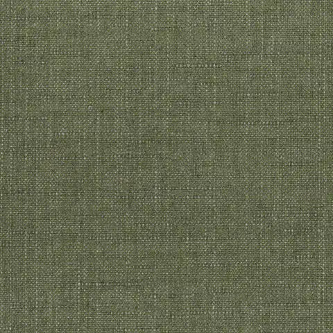 Willa Frond 146465-0035