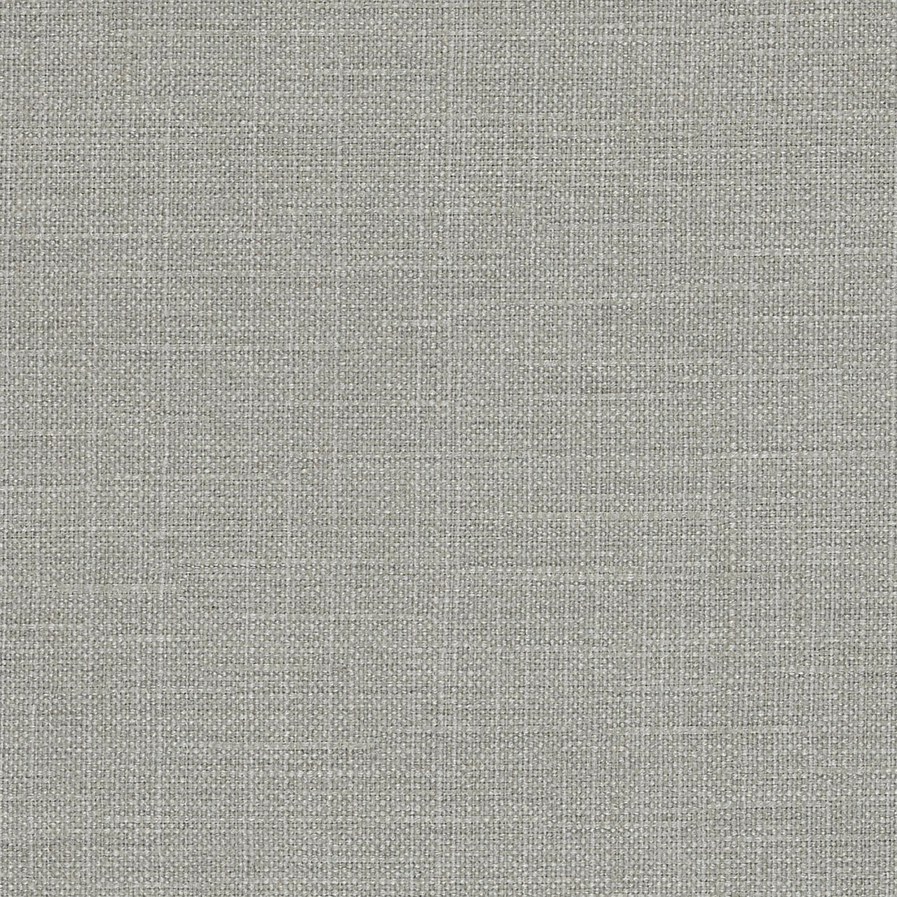 Willa Celery 146465-0005