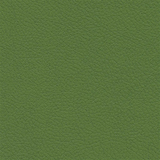 Apple Green 533-4448