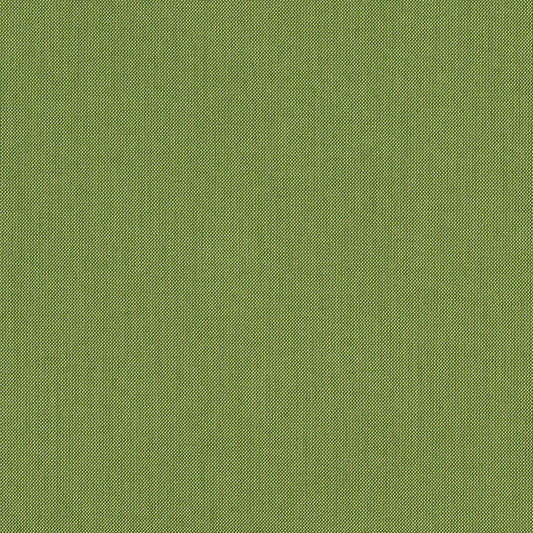 Spectrum Cilantro 48022-0000