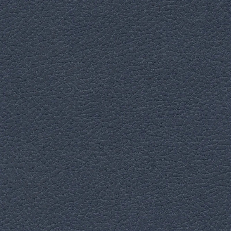 Michigan Blue 393-2542