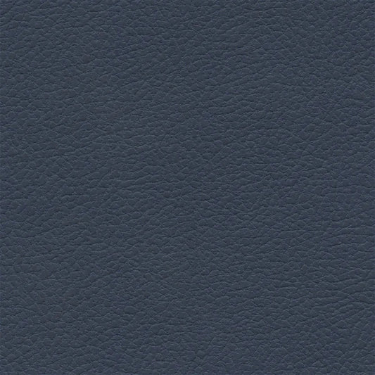 Michigan Blue 393-2542