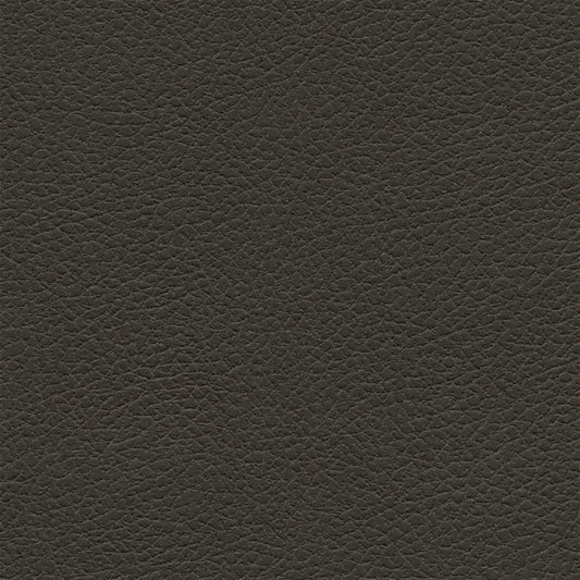 Coffee Bean 533-3023