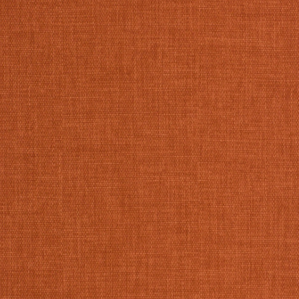 Marlow Burnt Squash Tulip-Mar3100