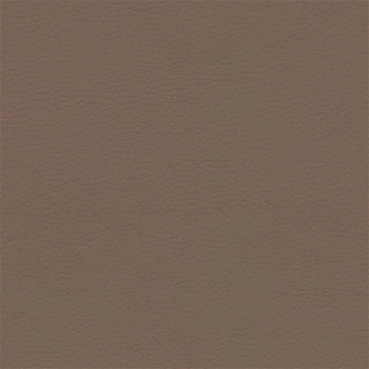 Dusty Earth 640-3881