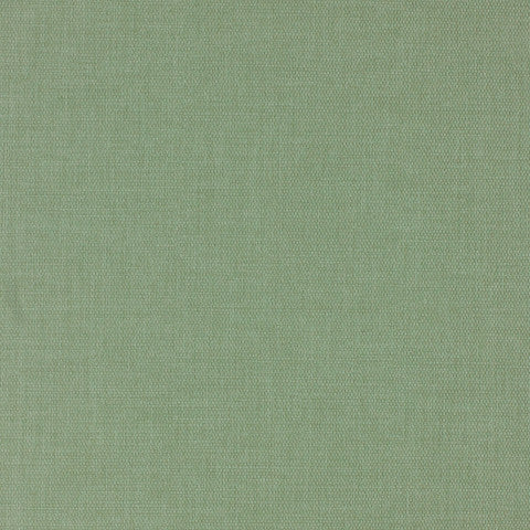 Marlow Basil Tulip-Mar3900