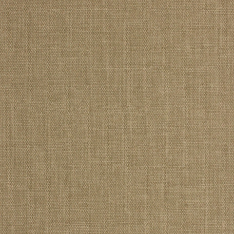 Marlow Seed Shell Tulip-Mar3600