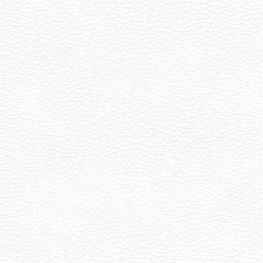 White Shore 497-0047