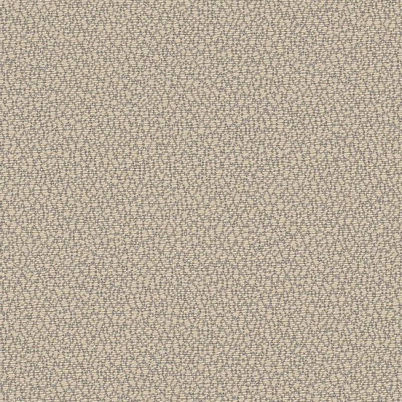 Reef Fossil REE J312