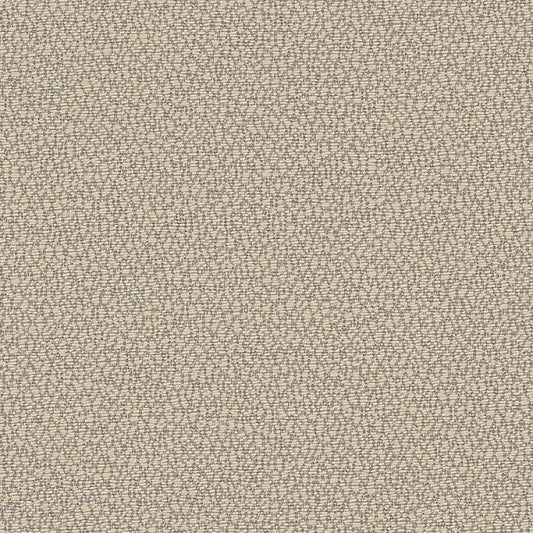 Reef Fossil REE J312