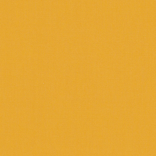 Mimosa SJA 3938 137 MIMOSA